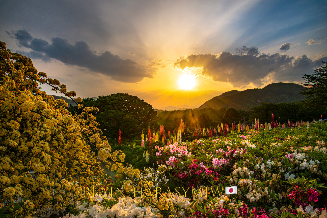 Japan Photo Tours | Blain Harasymiw Photography