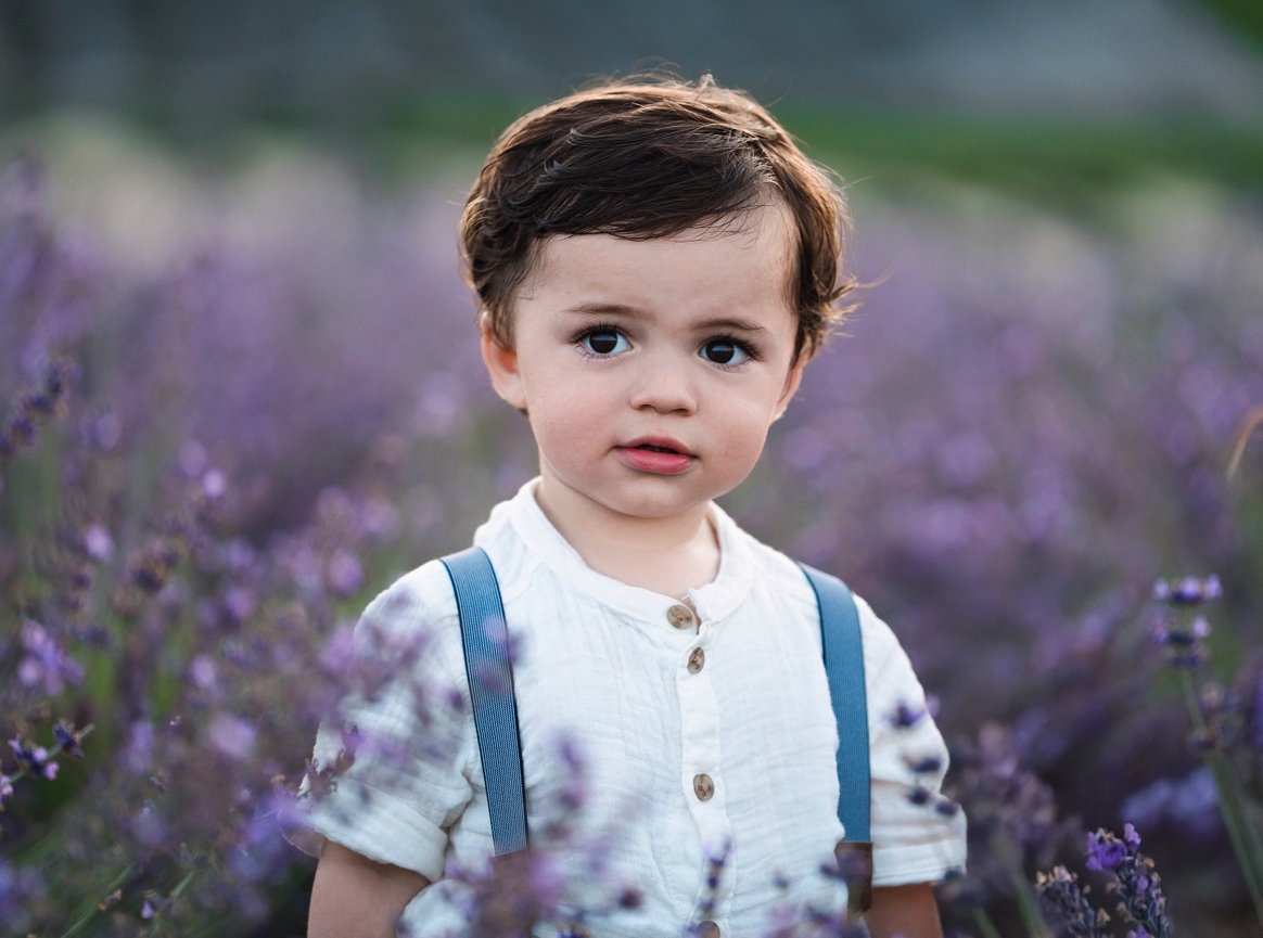 Toddler in a white shirt and blue suspenders standing in a lavender field, gazing curiously