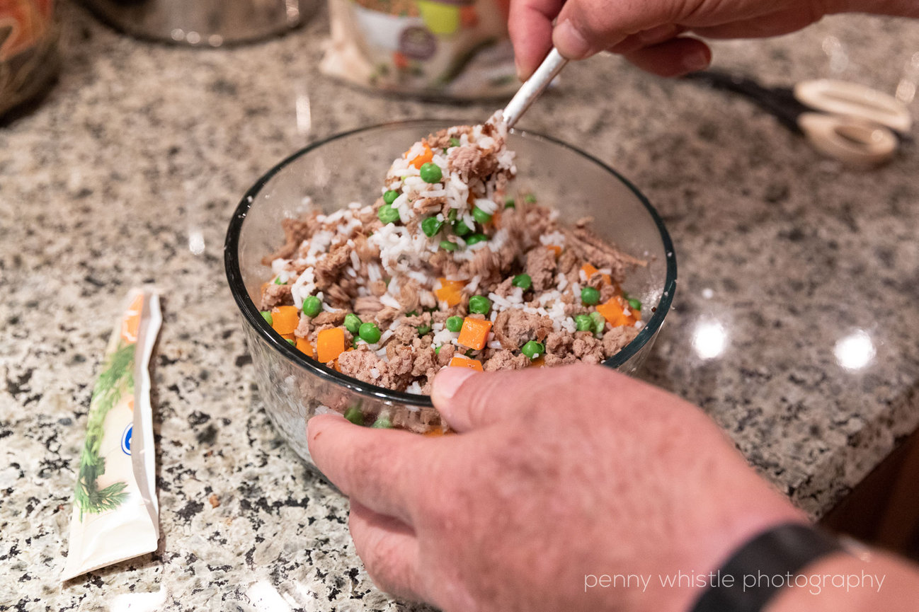 Homemade food for senior sales dogs