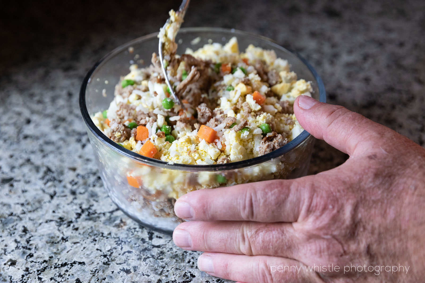 A One-Pot Recipe for Your Pup: Homemade Dog Food Back by Reader Request –  In the Vintage Kitchen: Where History Comes To Eat