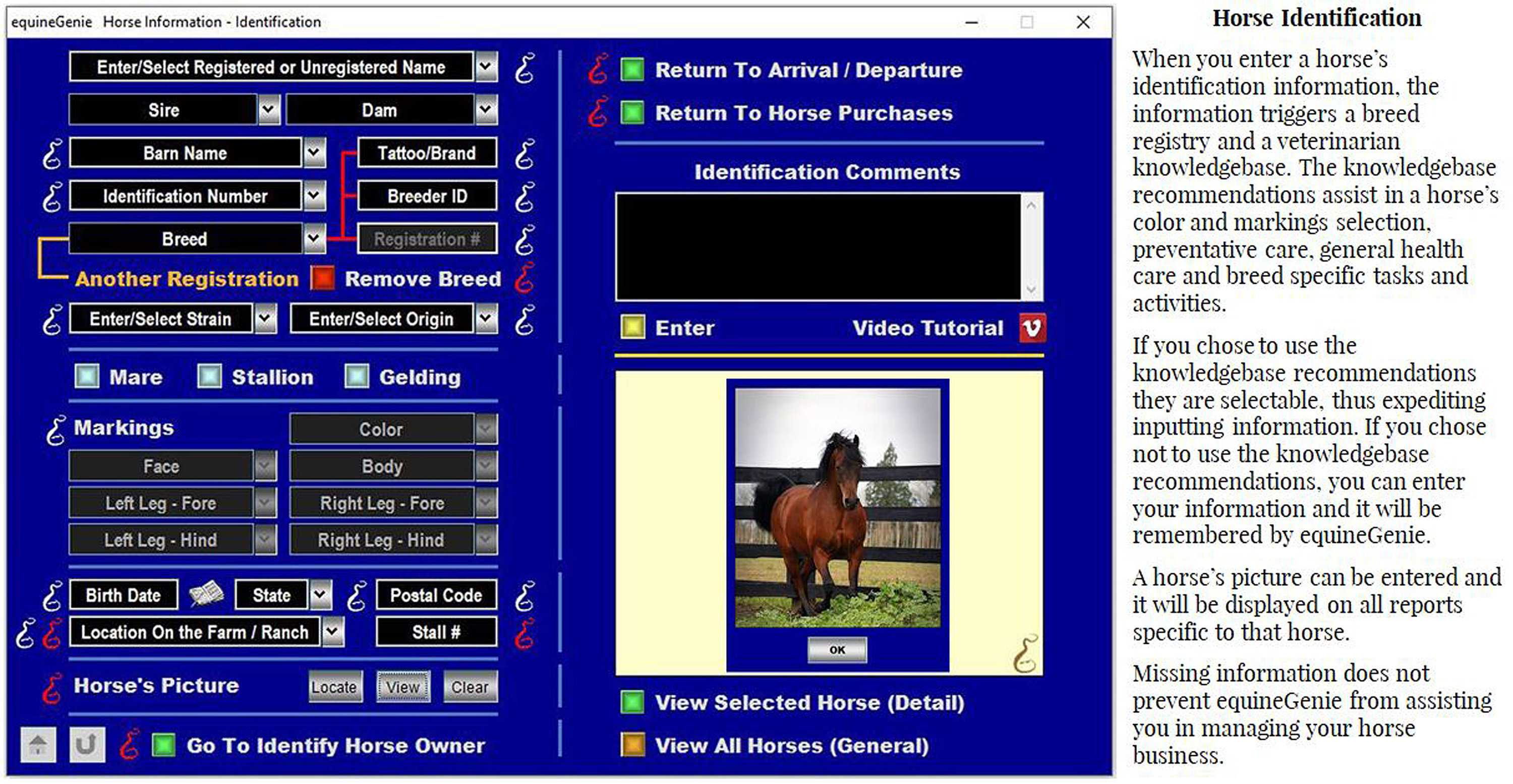 Horse Care Management Equine Genie Horse Business Management Software