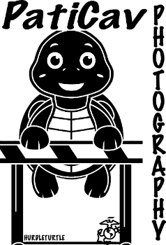 PatiCav Photography Logo