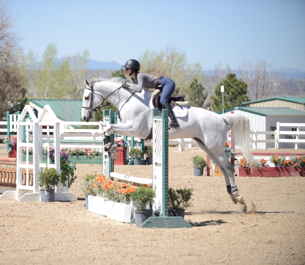 EQUESTRIAN, WILDLIFE & PETS Affinity Photography