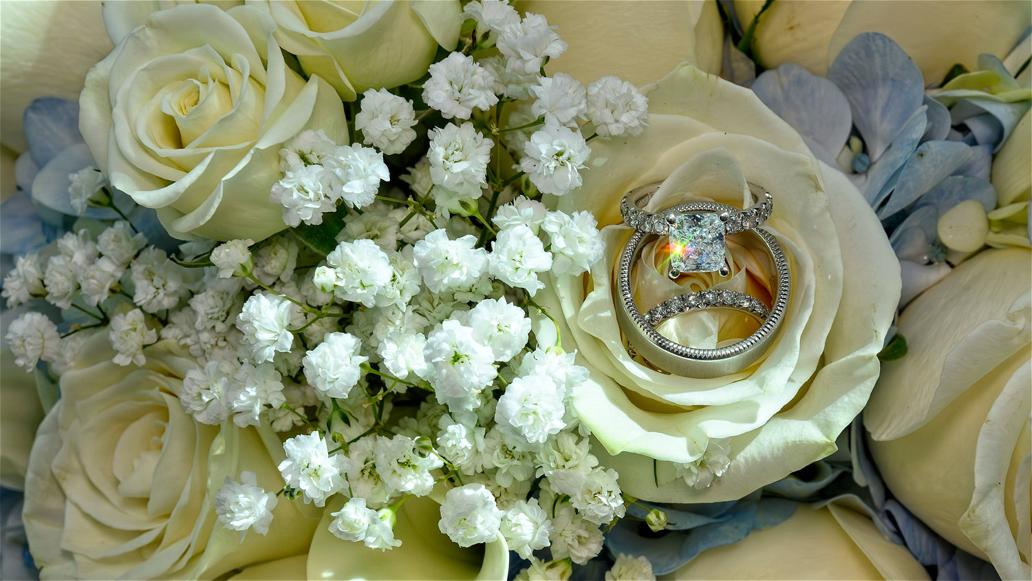 Diamond engagement ring and wedding band nestled inside the petals of a white rose, surrounded by baby's breath and other white flowers.