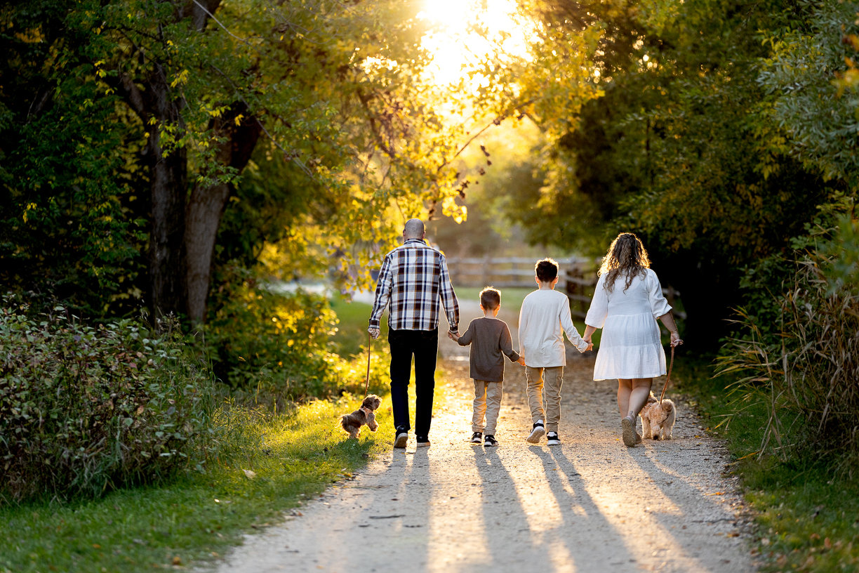 Family of four walking two small dogs down golden sun lit path - winnipeg family photography