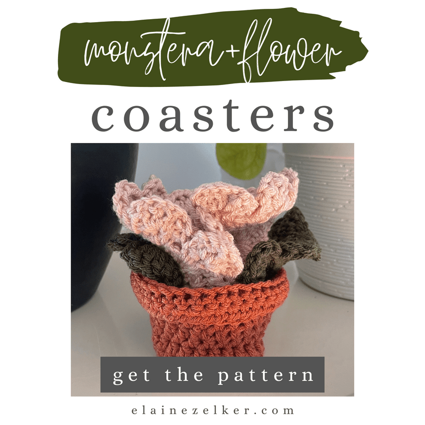 monstera dngen kaffeesatz Zimmerpflanzen Dnger, Monstera Dnger, 6 Monate Depotwirkung  PlantMe