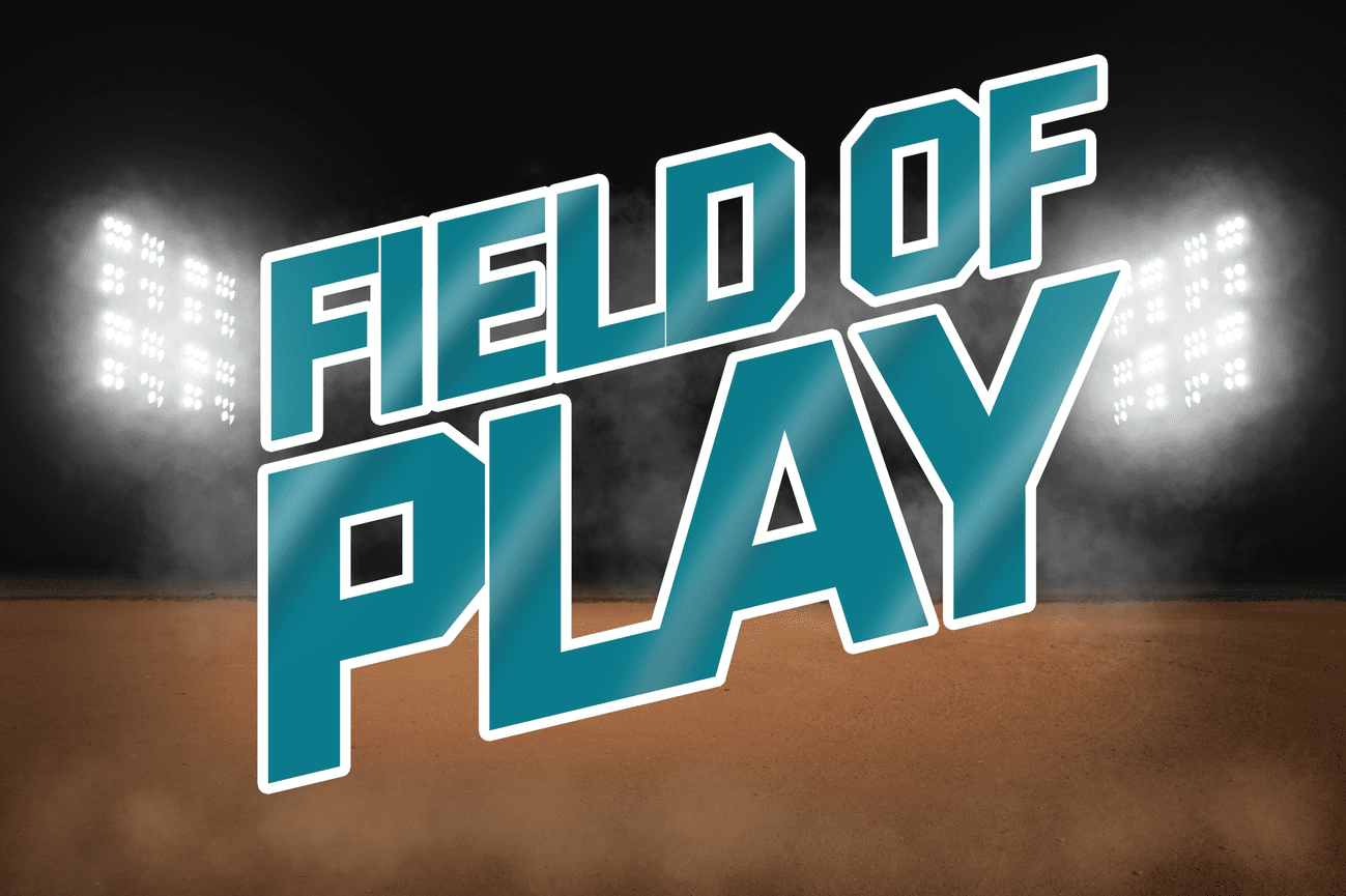 COMPOSITES FIELD OF PLAY Howie McCormick Photography