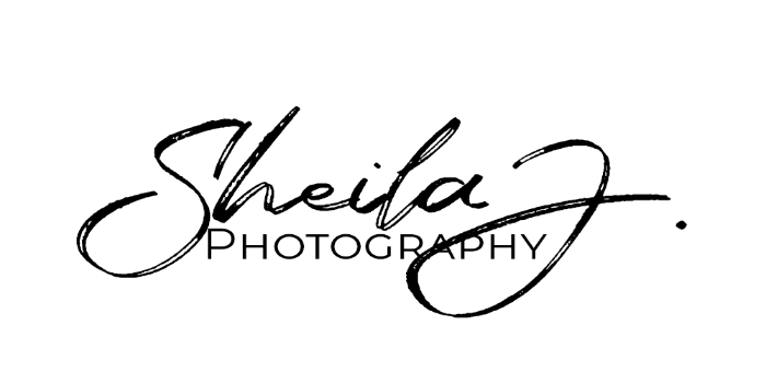 White Dove Photography Logo