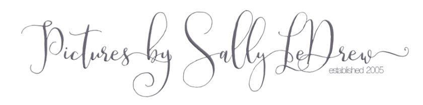 Pictures by Sally LeDrew Logo