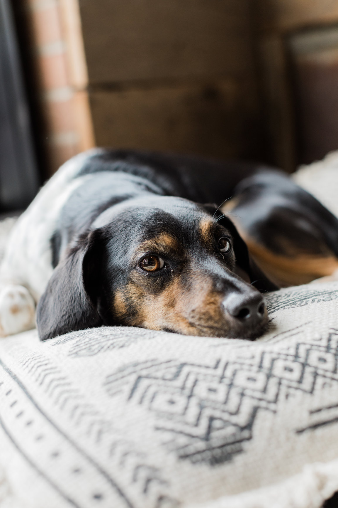 The Clubhouse Salon for Men Winston Salem Men's Haircuts