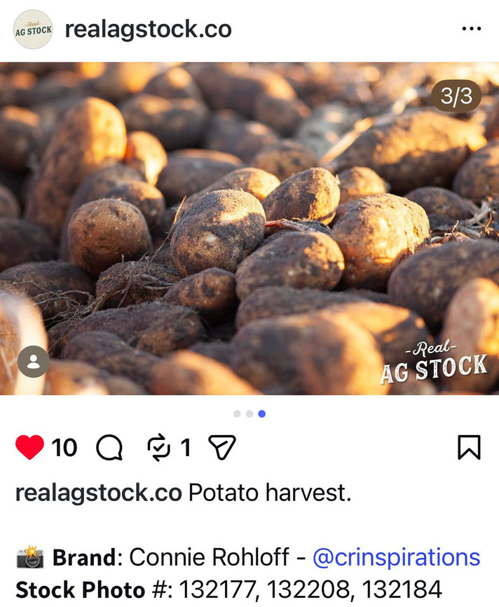 POTATIO