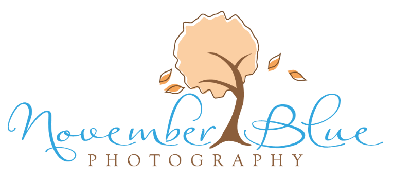 November Blue Photography Logo