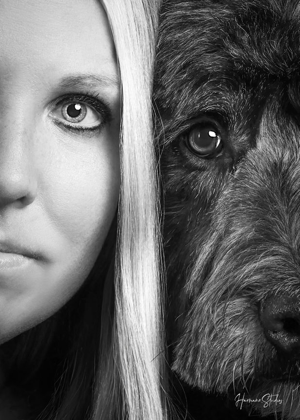 Celebrating The Ruby Project: A Tribute to Cherished Companions
