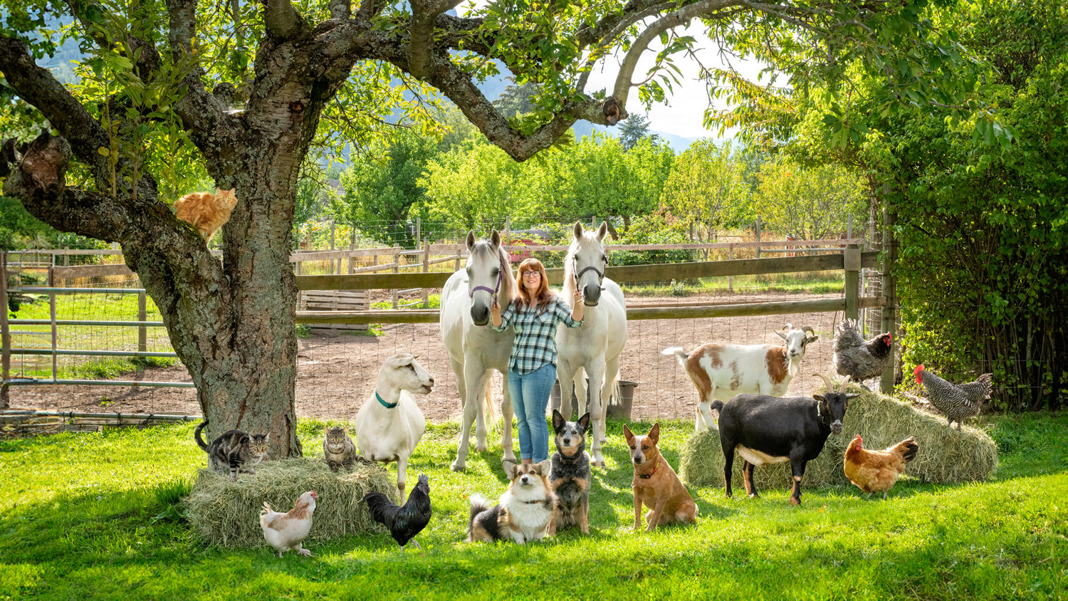 Woman standing in her yard under a gnarled tree surrounded by her farmily of horses, dogs, cats, goats and chickens