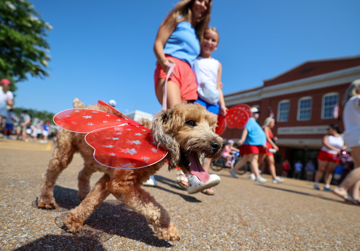 Brand-forward photography in Oxford, Mississippi for 4th of July in Oxford by Josh at OXMS.NET.