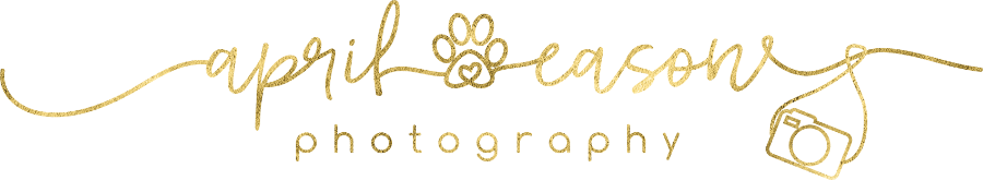 April Eason Photography Logo