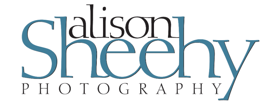 Alison Sheehy Photography Logo