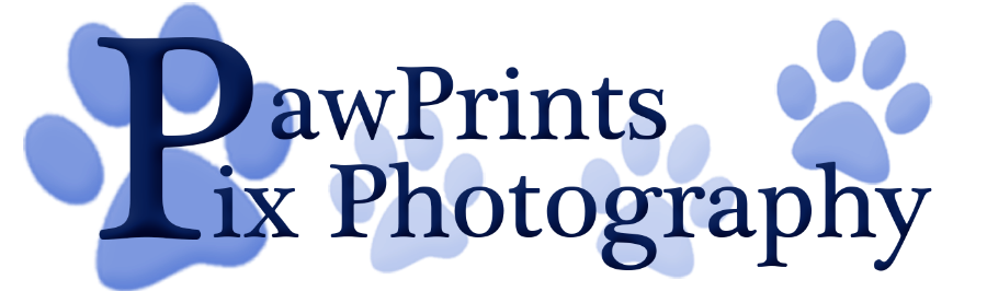 Pawprints Pix Photography Logo