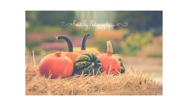 Beautifly Photography
